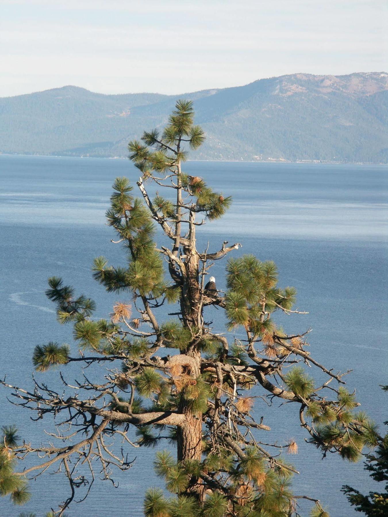 Where Eagles Fly Bed & Breakfast Elk Point Dış mekan fotoğraf